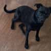 Tommy, Neuanfang gesucht