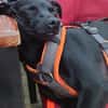 Tommy, Neuanfang gesucht
