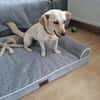 Nelly - super lieb und freundlich