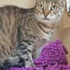 Seniorin IDA sucht Zuhause