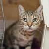 Seniorin IDA sucht Zuhause