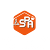 Ambre