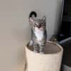 Hieper en Pieper