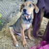 Ronan💕 sucht ein liebevolles Zuhause