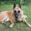 RUBY in 91616 Neusitz sucht