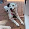 liebe, freundliche Seniorin CARLA