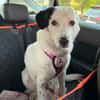 liebe, freundliche Seniorin CARLA