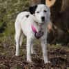 liebe, freundliche Seniorin CARLA