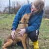 Maxi ❤Vom Tierheim ins Leben