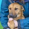 Maxi ❤Vom Tierheim ins Leben