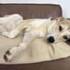 YUNA SUCHT NEUES ZUHAUSE
