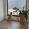 YUNA SUCHT NEUES ZUHAUSE