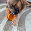 MUSTI * sportlicher Wanderbegleiter
