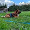 MUSTI * sportlicher Wanderbegleiter