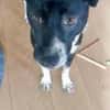 JONAH -sucht erfahrene Menschen-