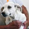 Ombretta sucht Familienanschluss