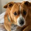 Nemo möchte wieder glücklich sein