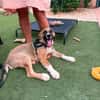 SANCHO (MARTINA)