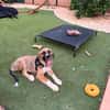 SANCHO (MARTINA)