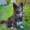 Shaylin sucht eine Familie