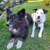 Shaylin sucht eine Familie