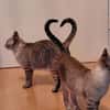 Mia und Zoe in Wiesbaden (ALO)