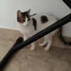 Sweetheart Kiki bei München (ALM)