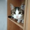 Sweetheart Kiki bei München (ALM)