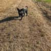 Hundekind sucht Bestplatz
