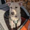 Skipper möchte endlich ankommen ...
