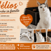 HELIOS