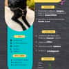 Cachou, la gentille louloute