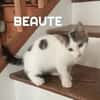 BN et BEAUTE A réserver  Adoption double ou séparé