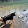 Luna sucht ein neues Zuhause