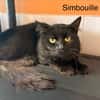 Simbouille