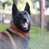 PATCH