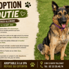TOUTIE