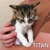 TITAN