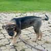 Ronja verspielt und neugierig