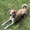 Polly sucht ihren sicheren Hafen
