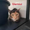 Glamour