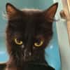 TOKYO QCT