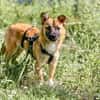 Samira ist eine kleine Knuddelmaus