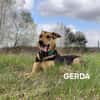 Gerda ruhig und lieb