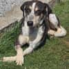 Aiden -schüchtern und freundlich-