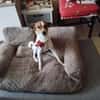 ROCKY (MARTINA)