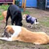 Martin sucht tolle Familie