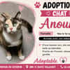 ANOUK