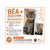 BEA