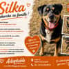 SILKA